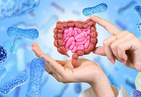 Gut microbes are important for our health